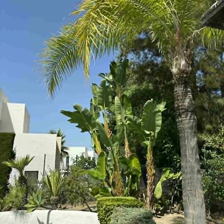 F Down Incosol Rio Real Apartmán Marbella